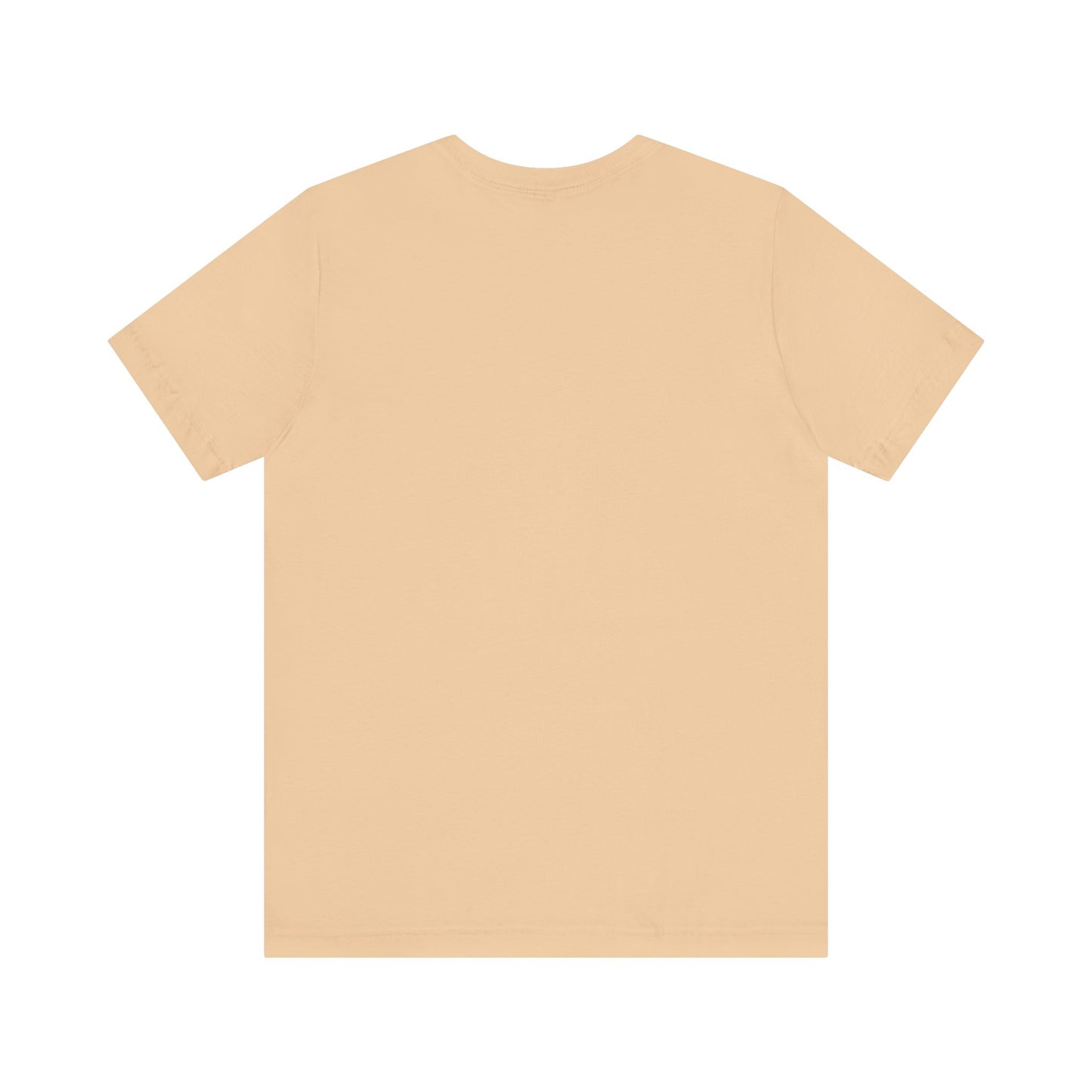 Abundance Is My Birthright T-Shirt | 6 colors