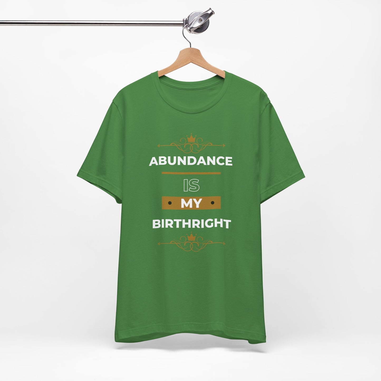 Abundance Is My Birthright T-Shirt | 6 colors