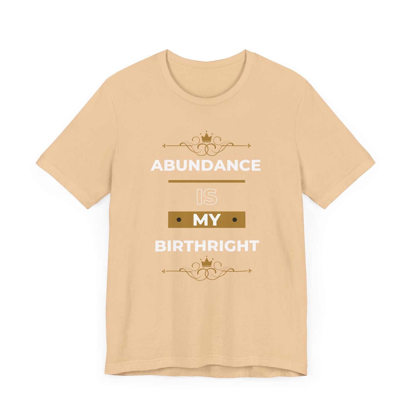 Abundance Is My Birthright T-Shirt | 6 colors