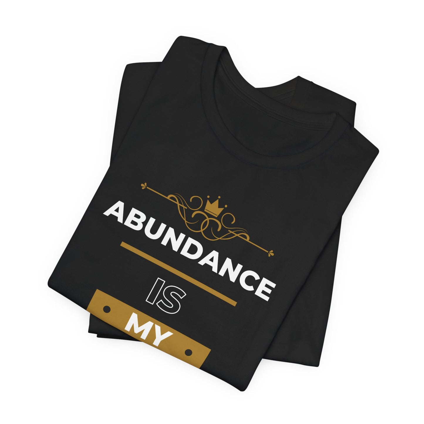 Abundance Is My Birthright T-Shirt | 6 colors