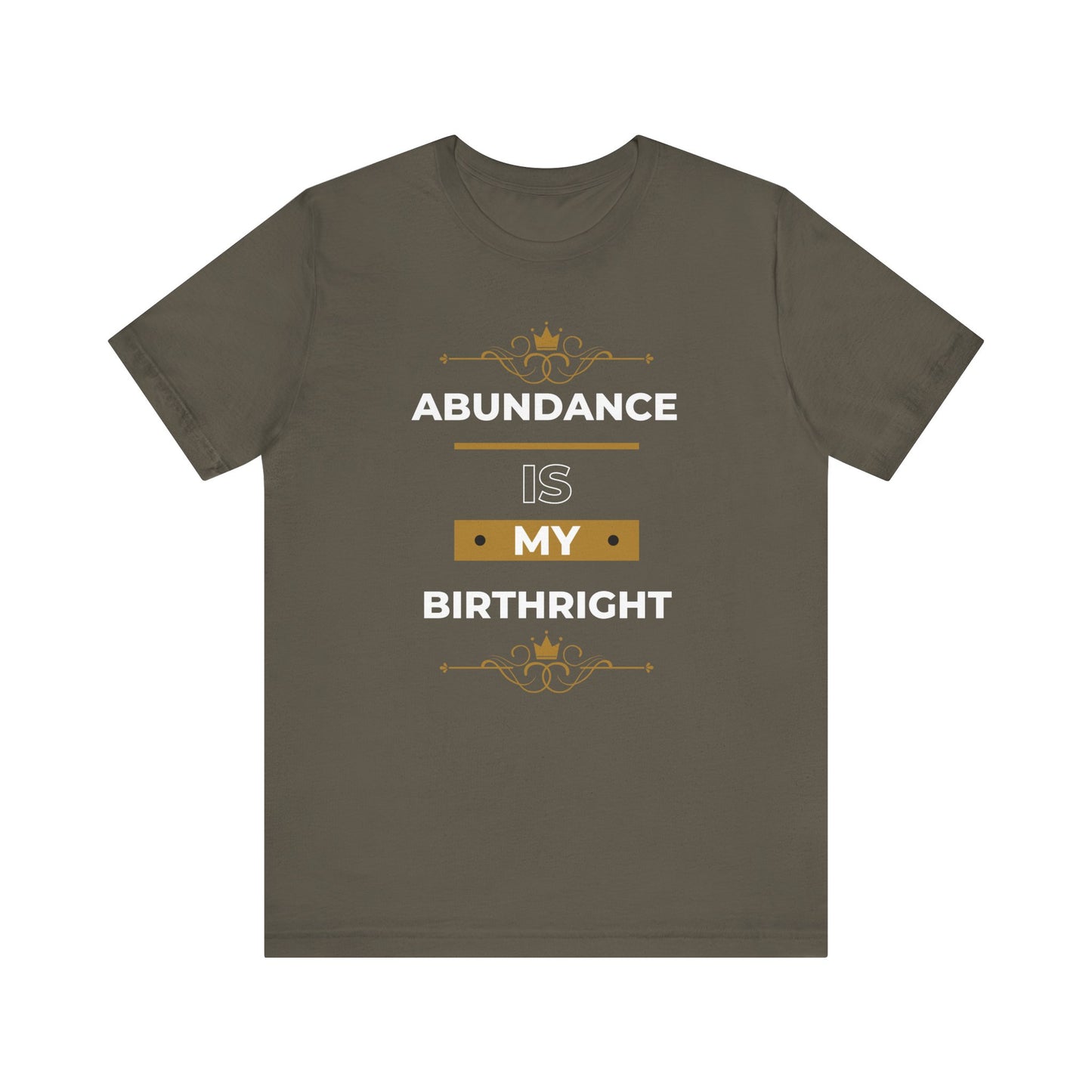 Abundance Is My Birthright T-Shirt | 6 colors