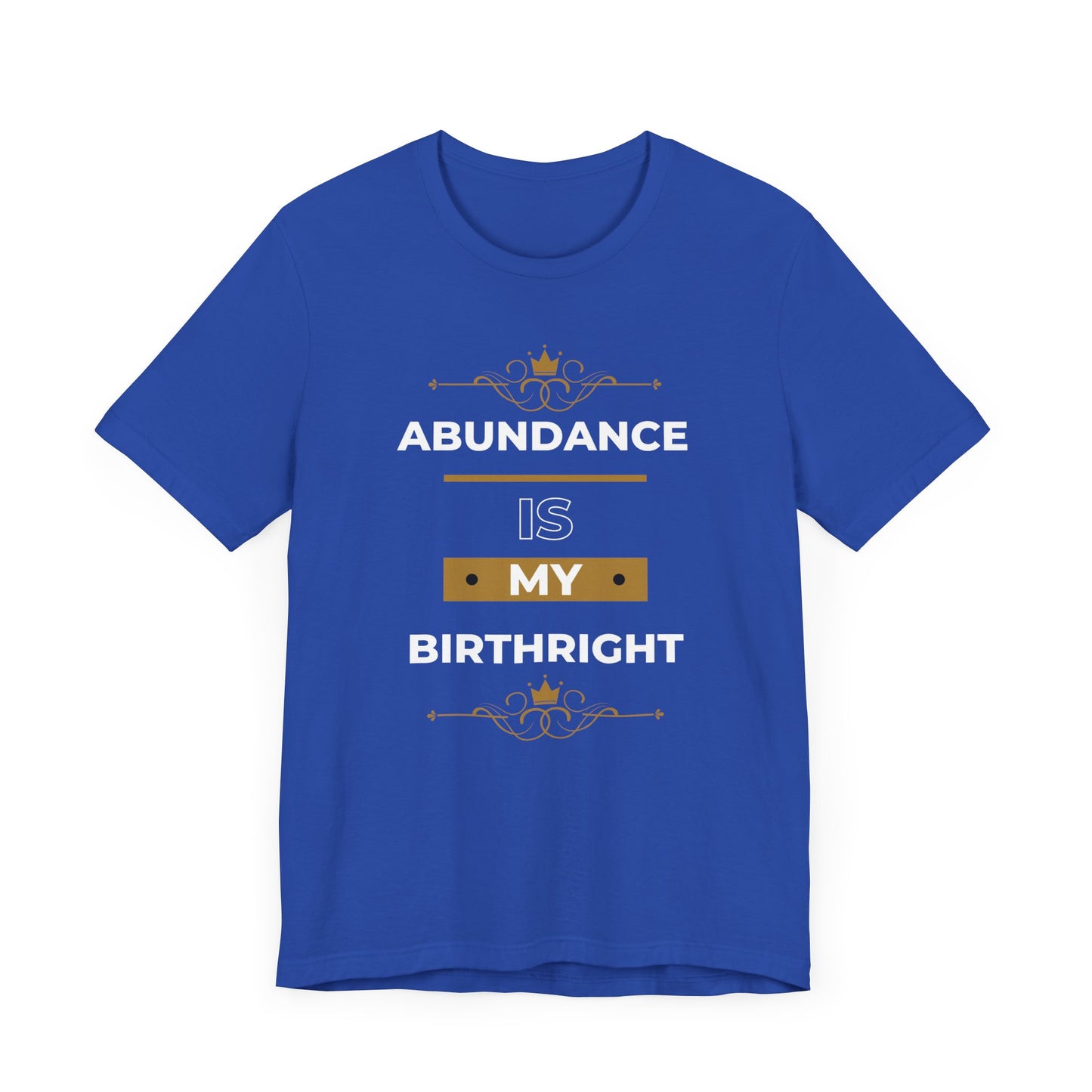 Abundance Is My Birthright T-Shirt | 6 colors