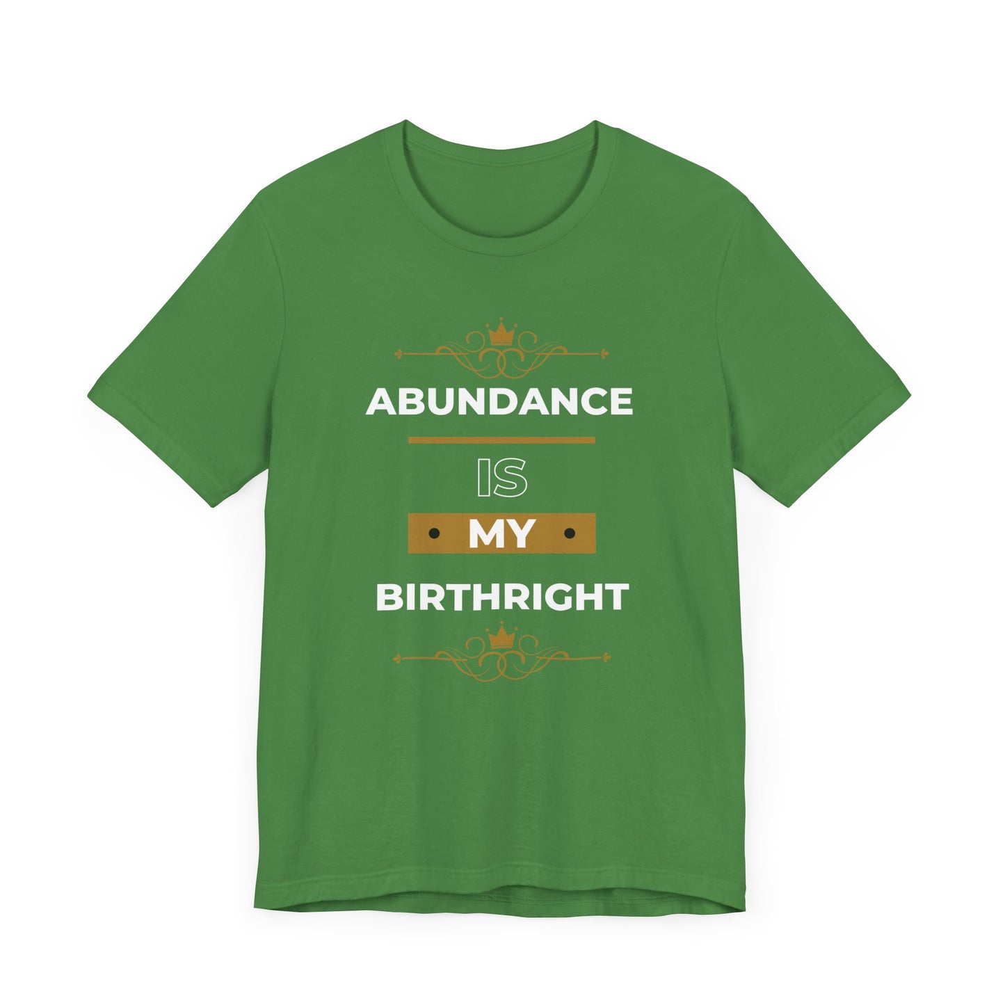 Abundance Is My Birthright T-Shirt | 6 colors