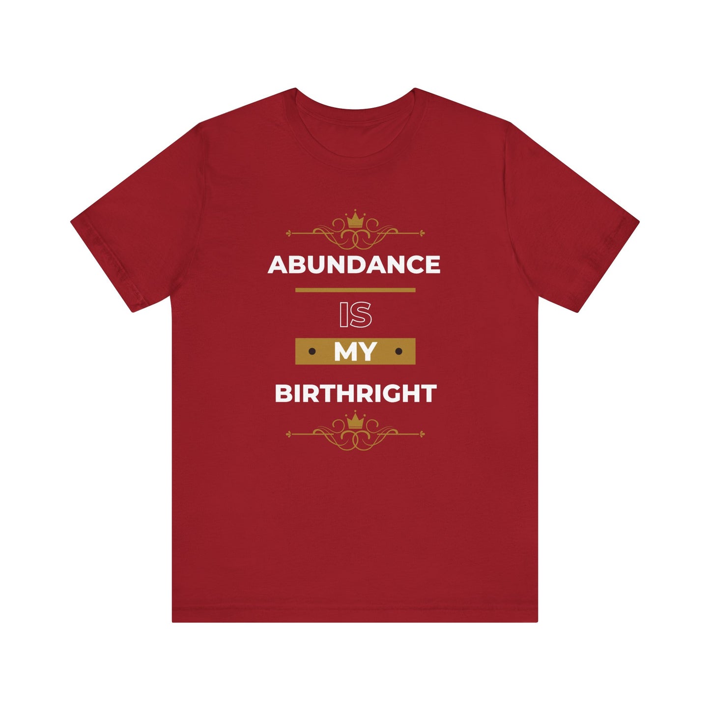 Abundance Is My Birthright T-Shirt | 6 colors