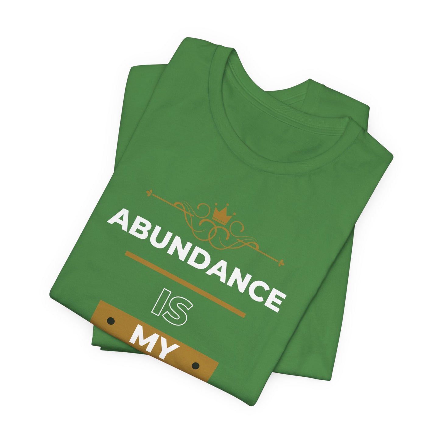 Abundance Is My Birthright T-Shirt | 6 colors