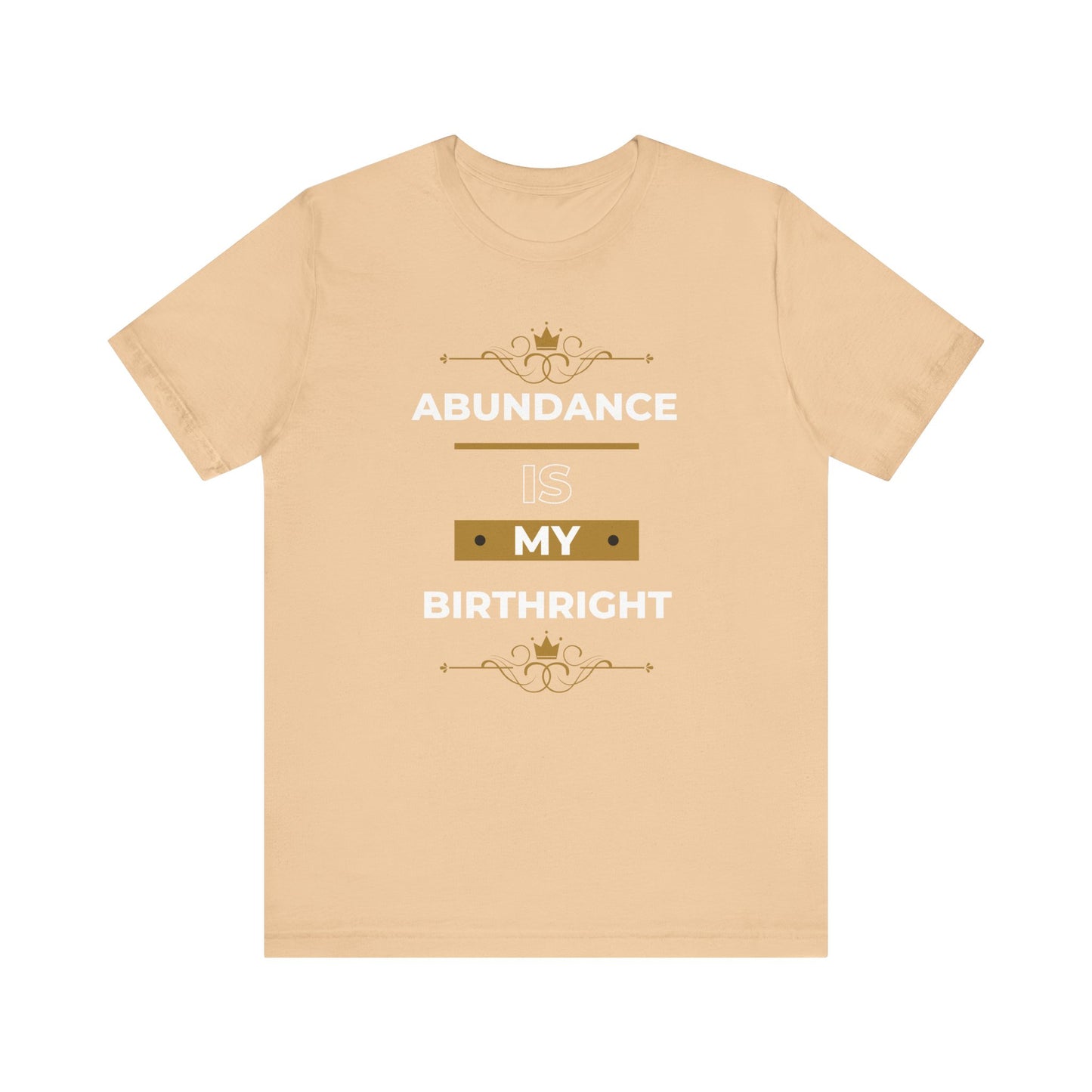 Abundance Is My Birthright T-Shirt | 6 colors