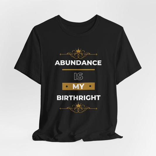 Abundance Is My Birthright T-Shirt | 6 colors